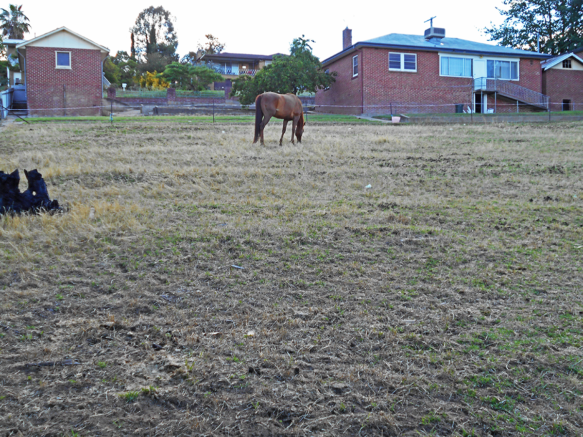 TUMUT, NSW, Tumut - Thumbnail 2