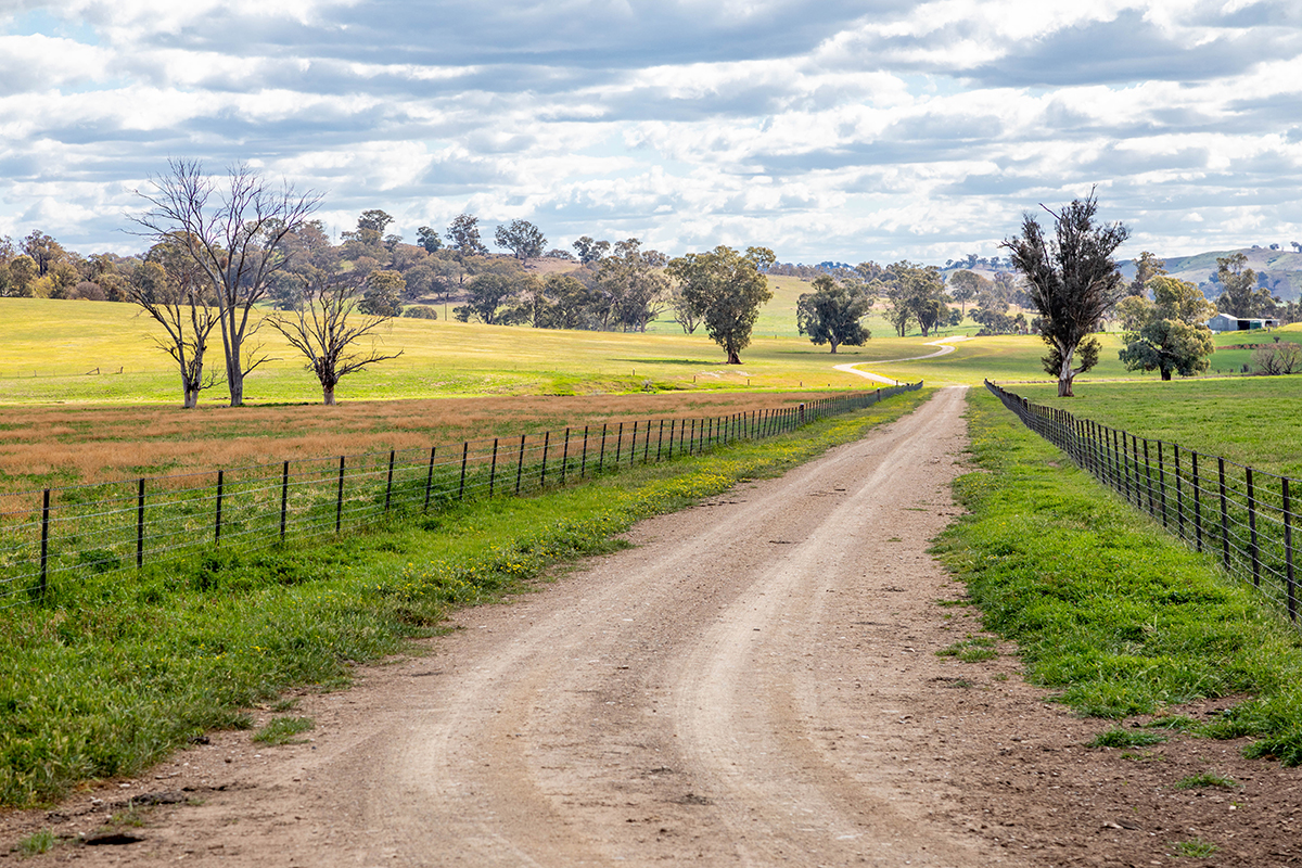 TARCUTTA, NSW, Tarcutta - Thumbnail 2