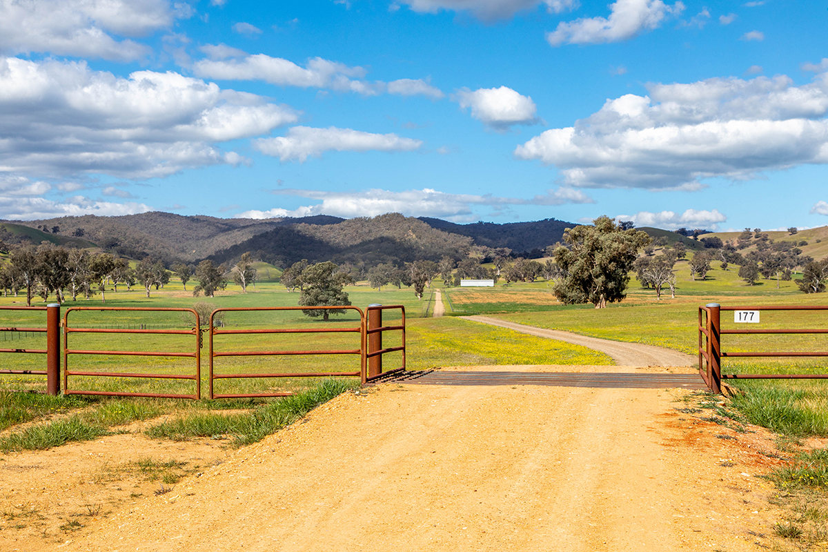 TARCUTTA, NSW, Tarcutta - Thumbnail 6