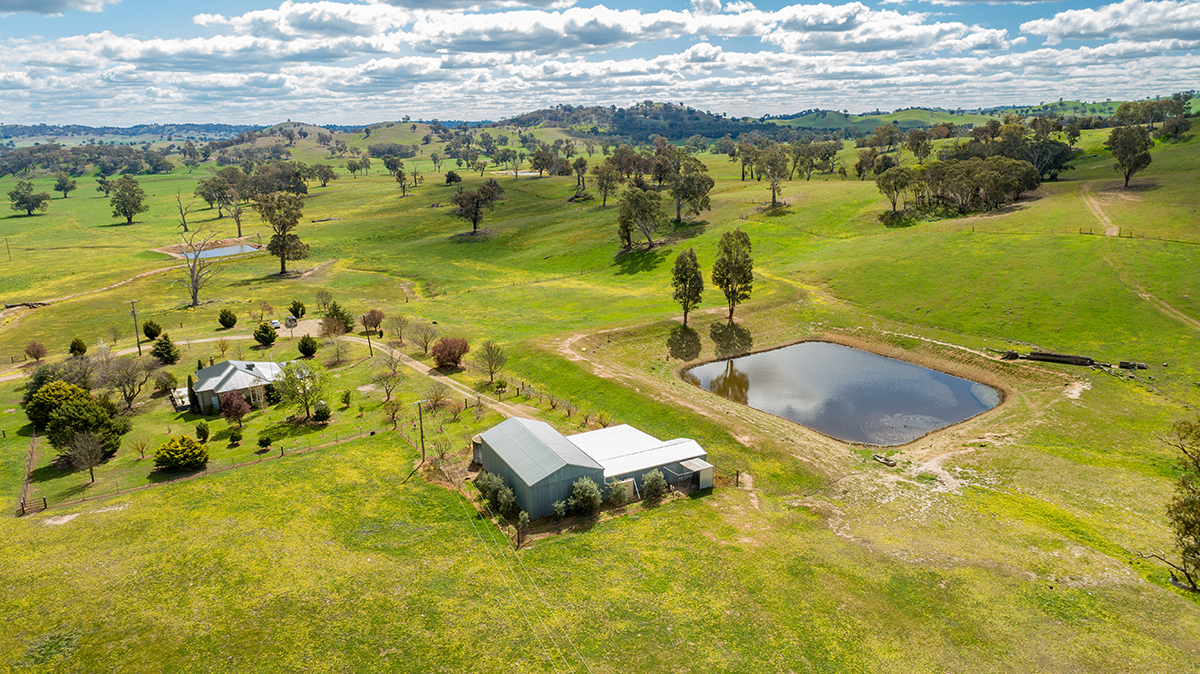 TARCUTTA, NSW, Tarcutta - Thumbnail 7