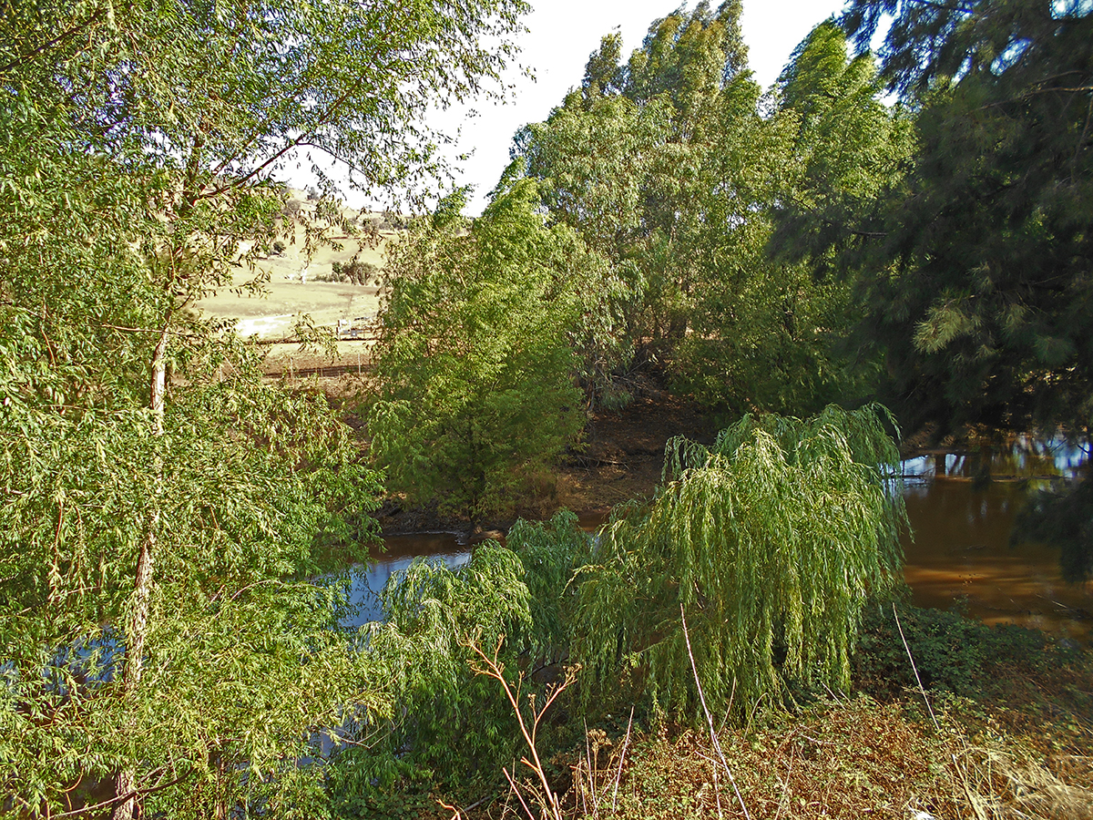 COOLAC, NSW, Coolac - Thumbnail 4