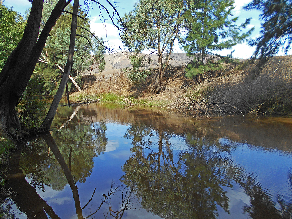 COOLAC, NSW, Coolac - Thumbnail 3