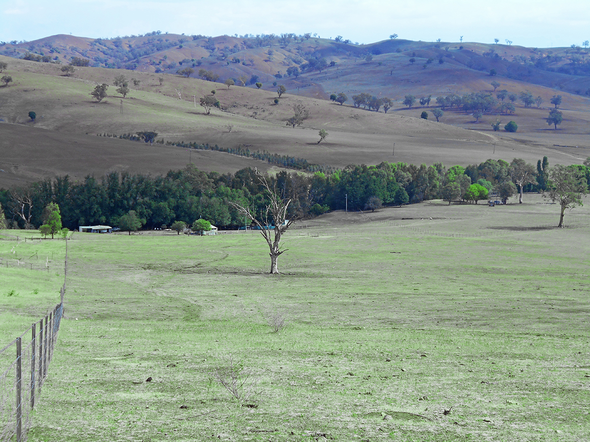 COOLAC, NSW, Coolac - Thumbnail 6