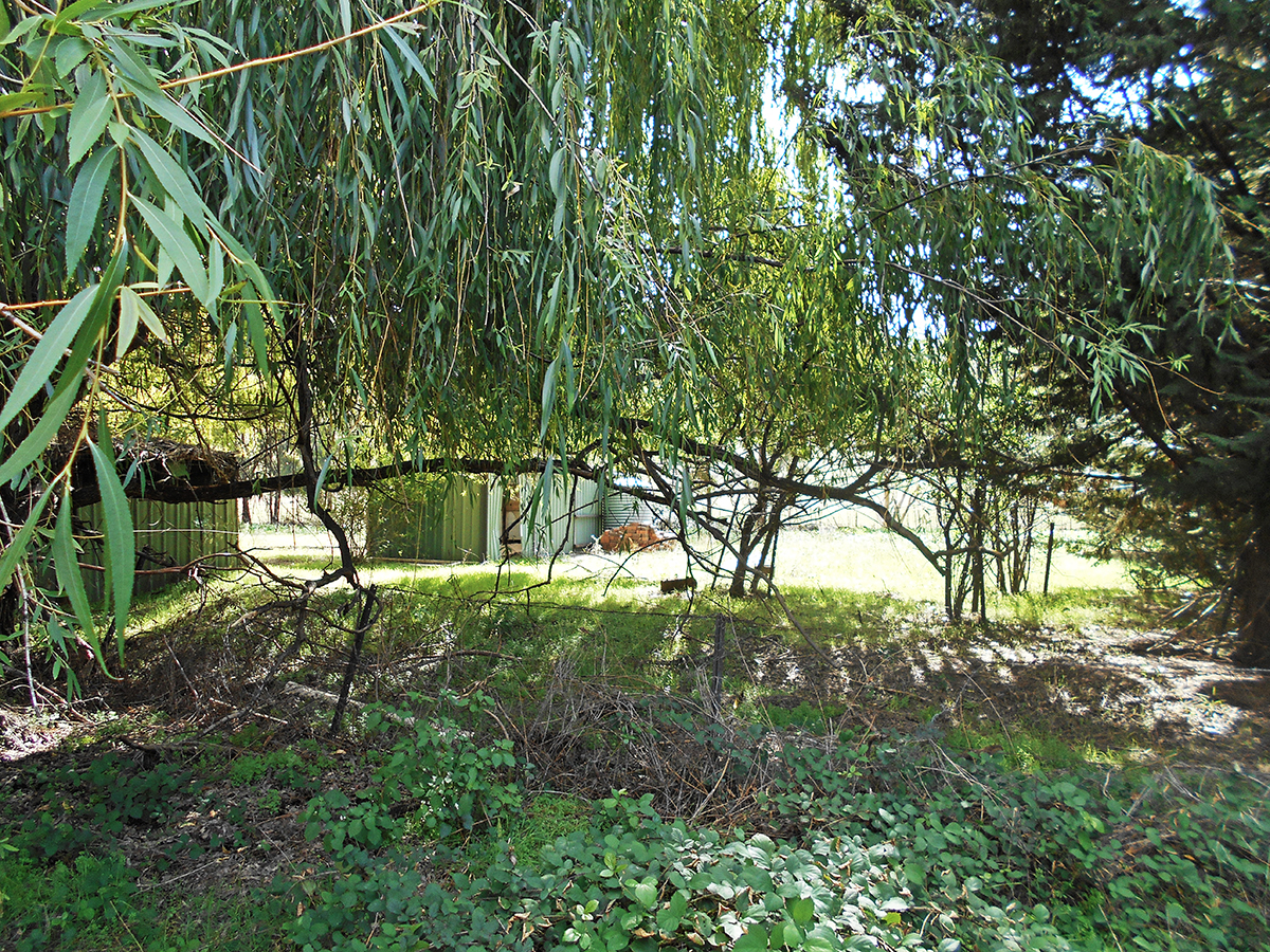 GOBARRALONG, NSW, Gobarralong - Thumbnail 8