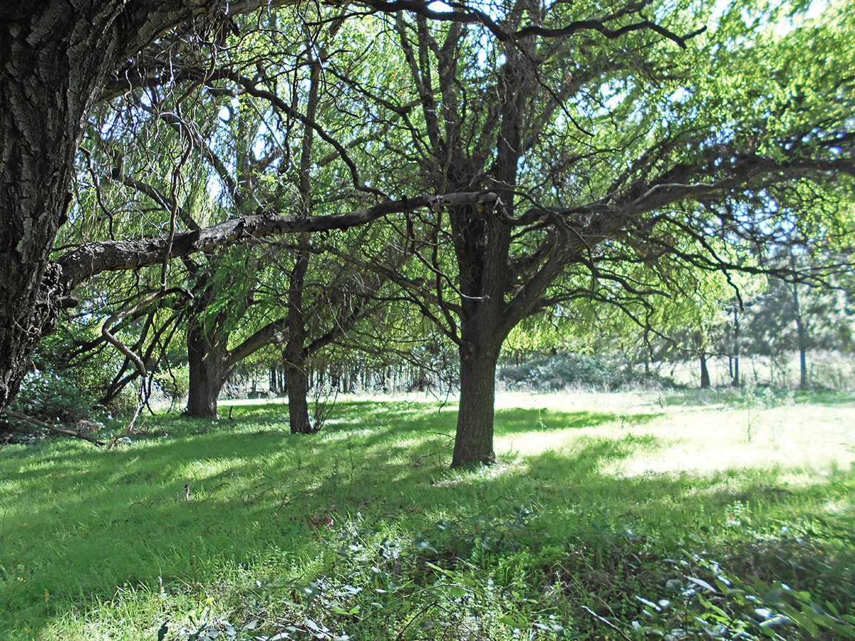 GOBARRALONG, NSW, Gobarralong - Thumbnail 4