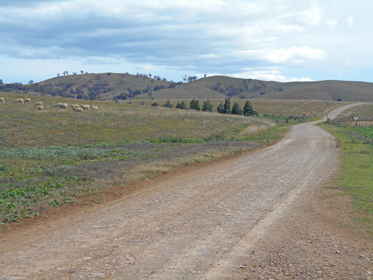GOBARRALONG, NSW, Gobarralong - Thumbnail 5