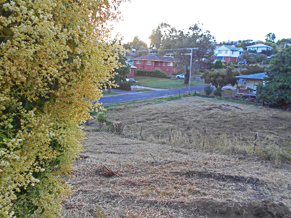 Real Estate for Sale in GUNDAGAI